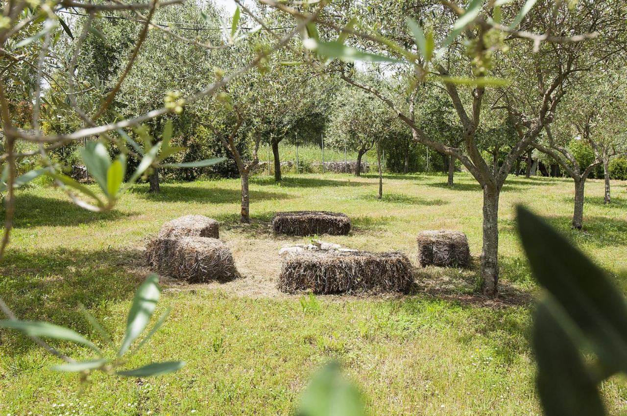 B&B Trulli Valle D'Itria 마르티나프란카 외부 사진