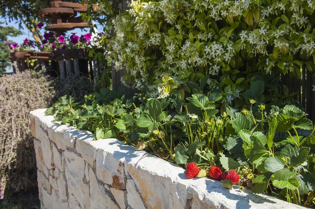 B&B Trulli Valle D'Itria 마르티나프란카 외부 사진